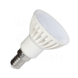 LS-SP7-CW-E14-55
