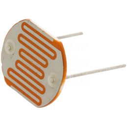 OFOGM25539
